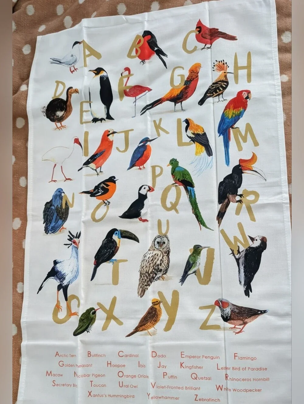 Avian Alphabet Tea Towel - White with Multicolor Bird Prints
